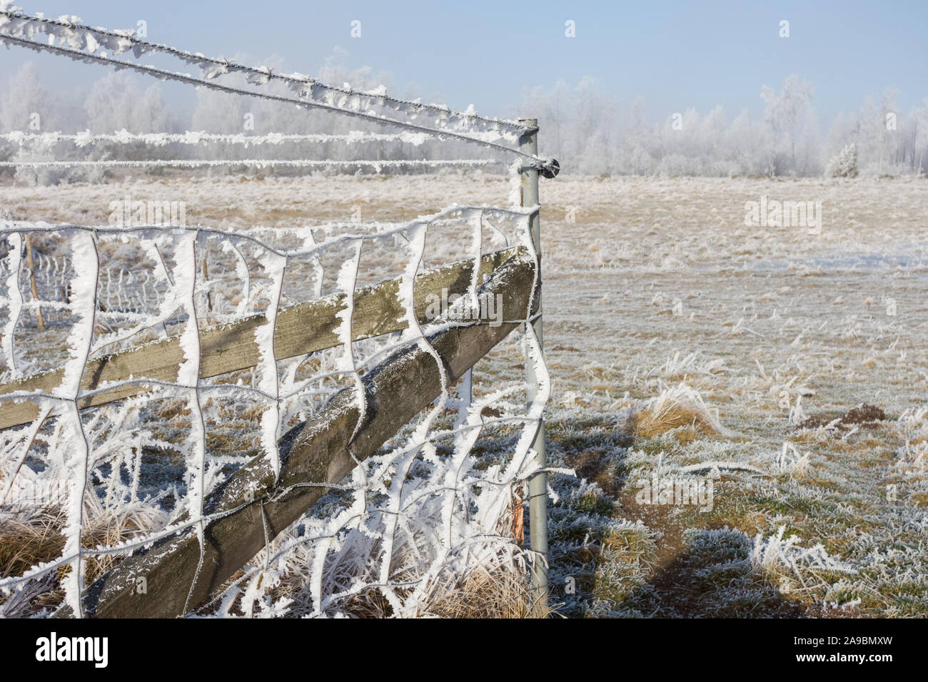 Chain link fencing with hoarfrost Stock Photo