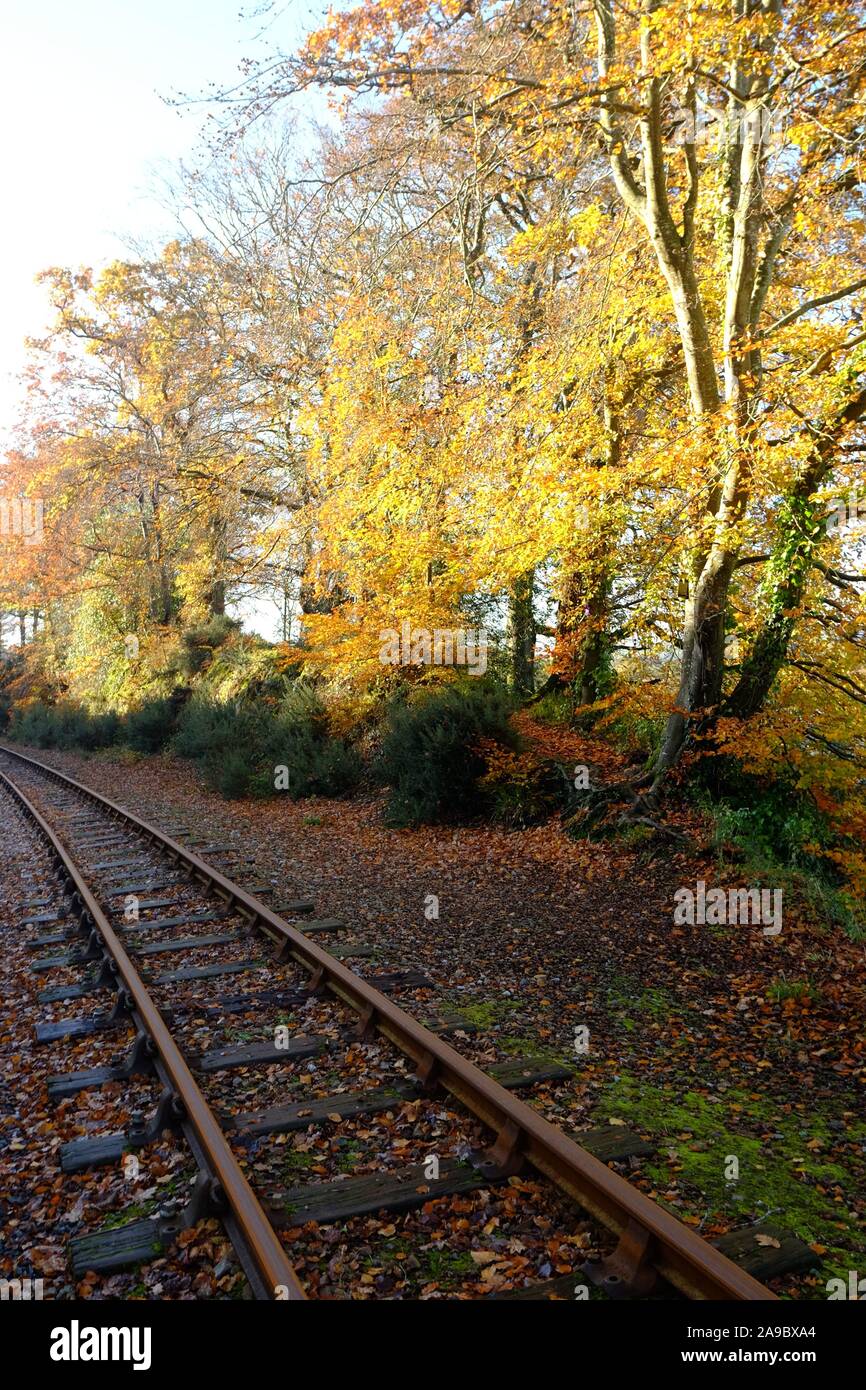 Autumn Leaves on rail tracks Stock Photo