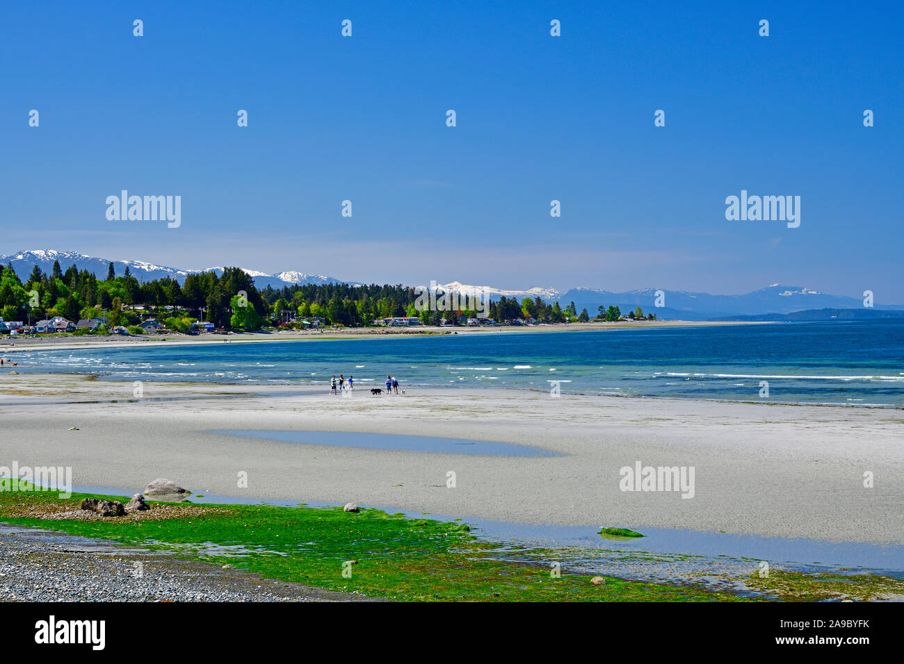People enjoying a beautiful day relaxing and playing on Qualicum Beach on Vancouver Island British Columbia Canada. Stock Photo