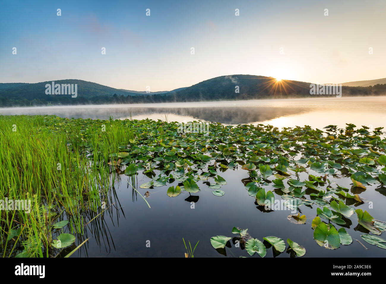 Lily house hires stock photography and images Alamy