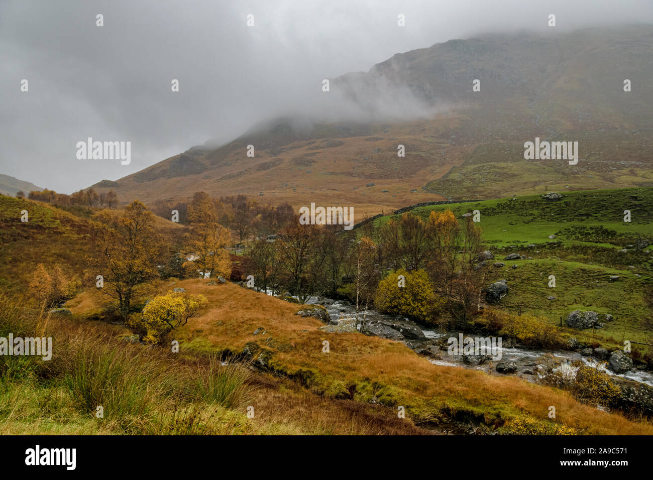 Rainy and foggy autumn day in Scottish Highlands. Stock Photo