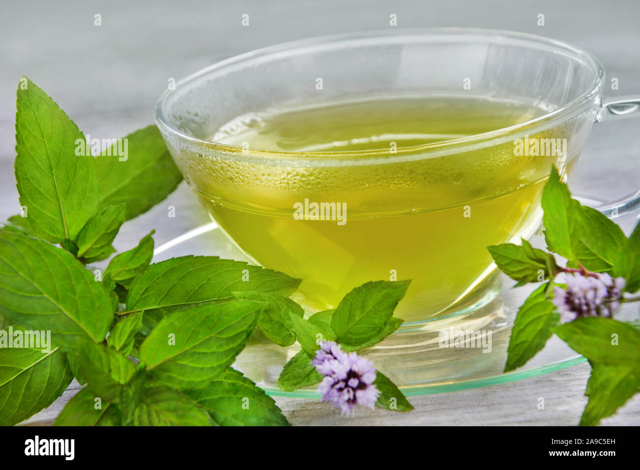 Healing Peppermint Tea Stock Photo Alamy