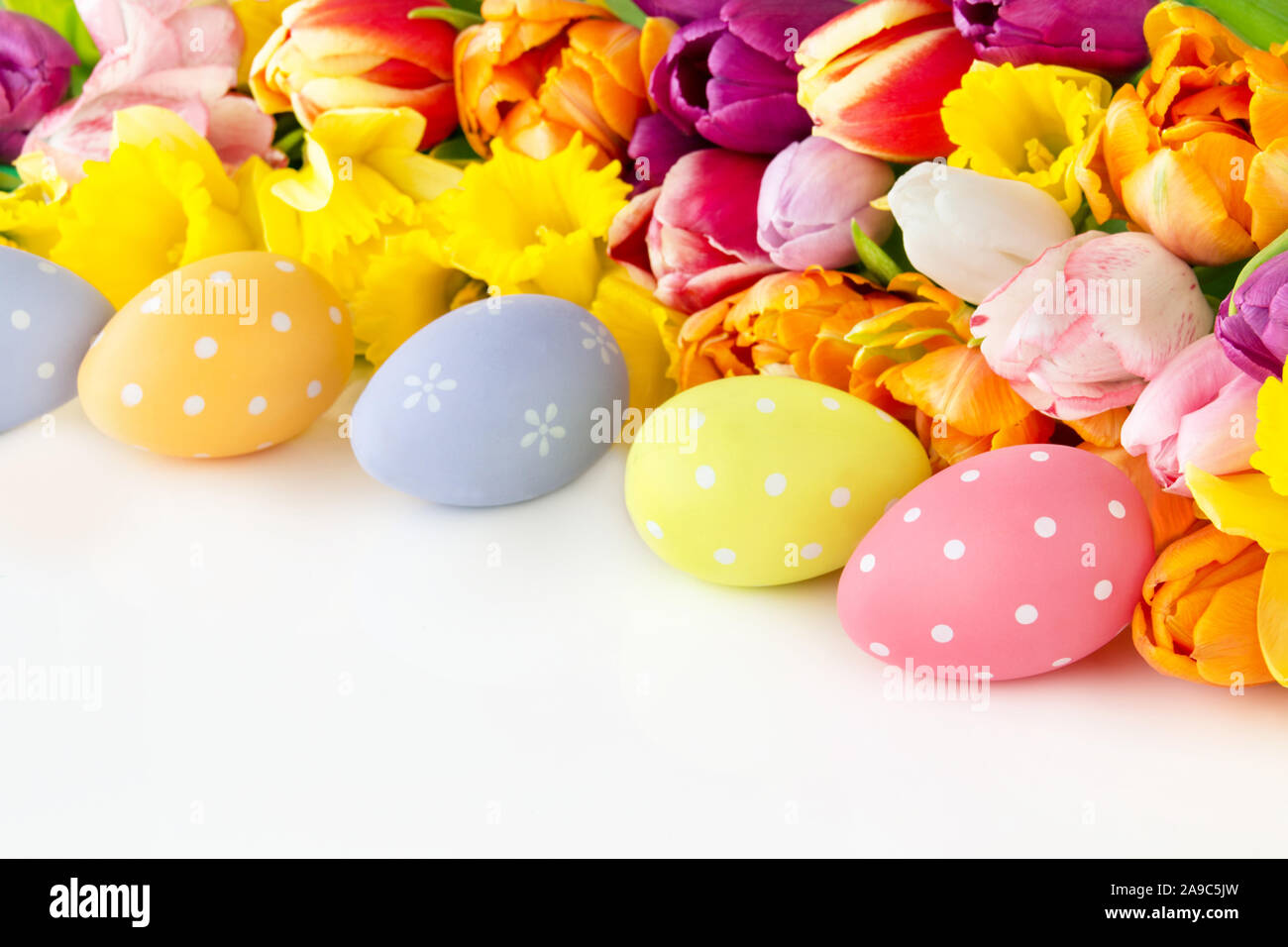 Easter eggs and tulips against white background Stock Photo - Alamy