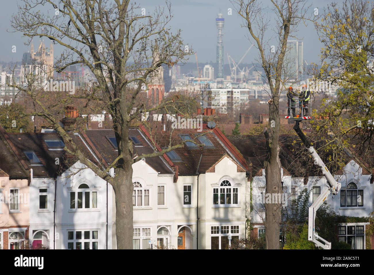 Tree surgeons take down a dead 100 year-old ash tree from opposite suburban houses on Ruskin Park, a green space overlooking the capital in the London borough of Lambeth, on 13th November 2019, in London, England. Stock Photo