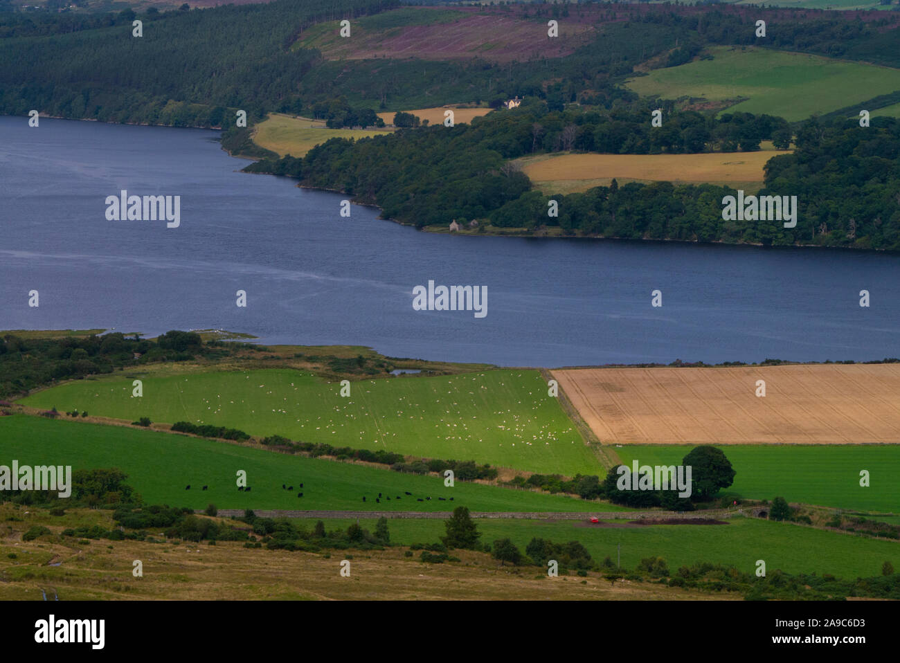 Farmer's fields in the Dornoch Firth Sutherland Scotland UK Stock Photo