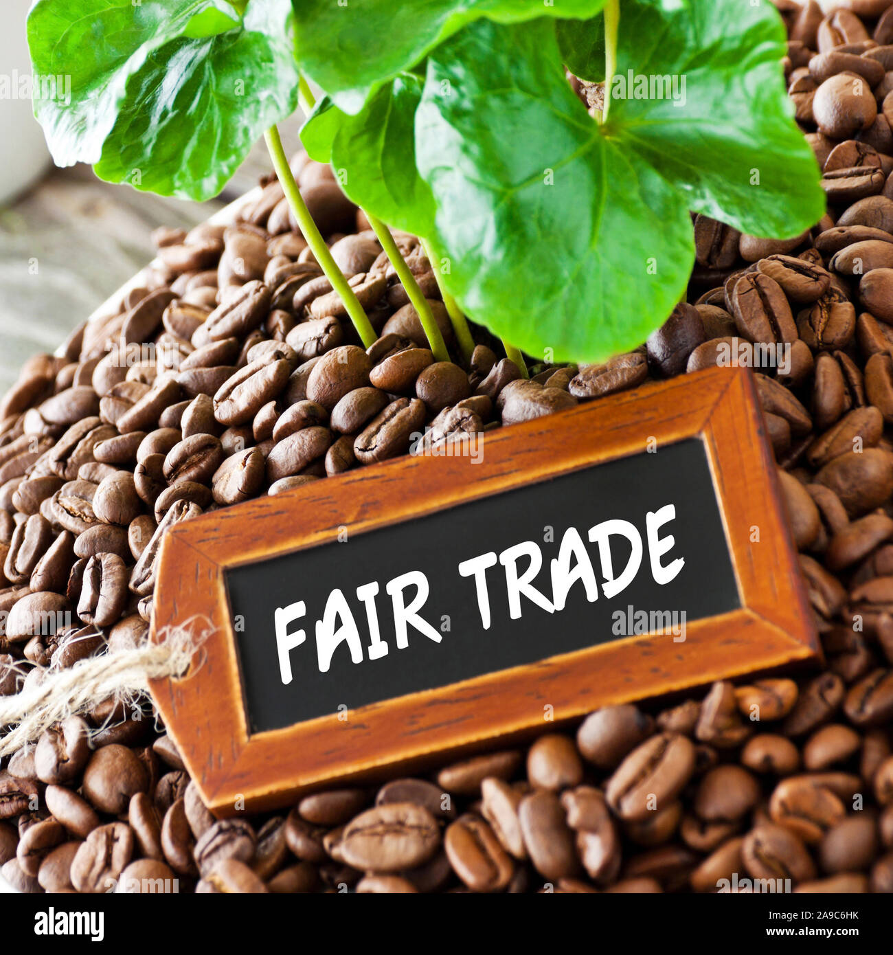 Coffee beans and fair trade label Stock Photo Alamy