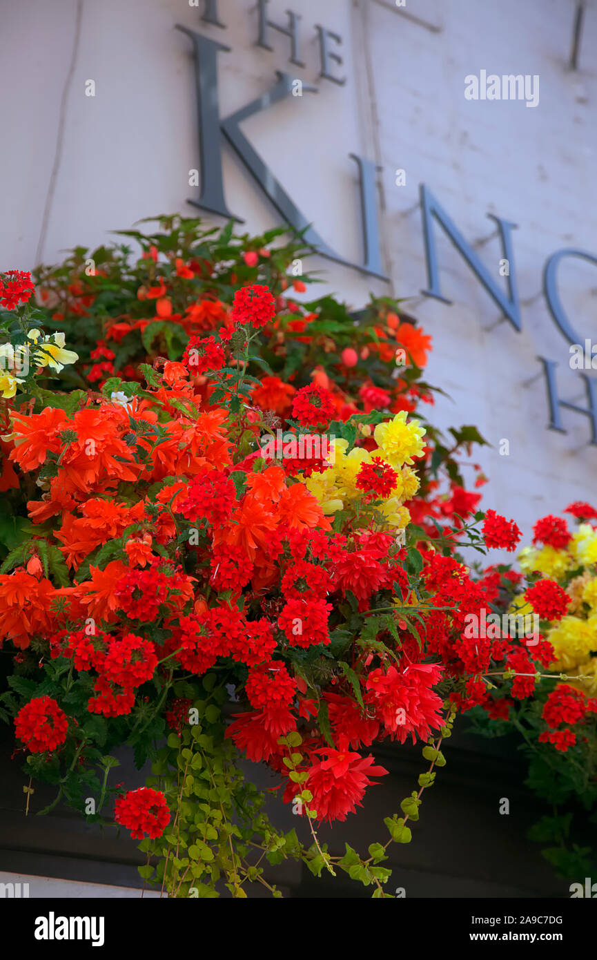 Summer hanging baskets in red and yellow using Verbena and Begonia to enhance the appearance of a public house facade Stock Photo
