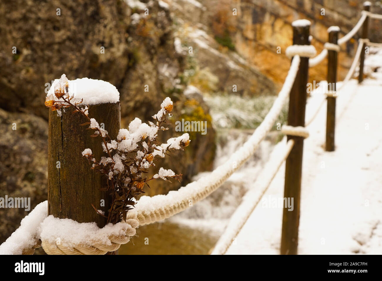 A settling of snow on an old weathered bunch of flowers tucked into a rope fence at Sickle Canyon Stock Photo
