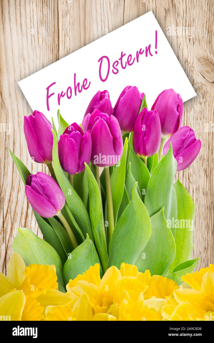 Tulips and German Happy Easter Stock Photo