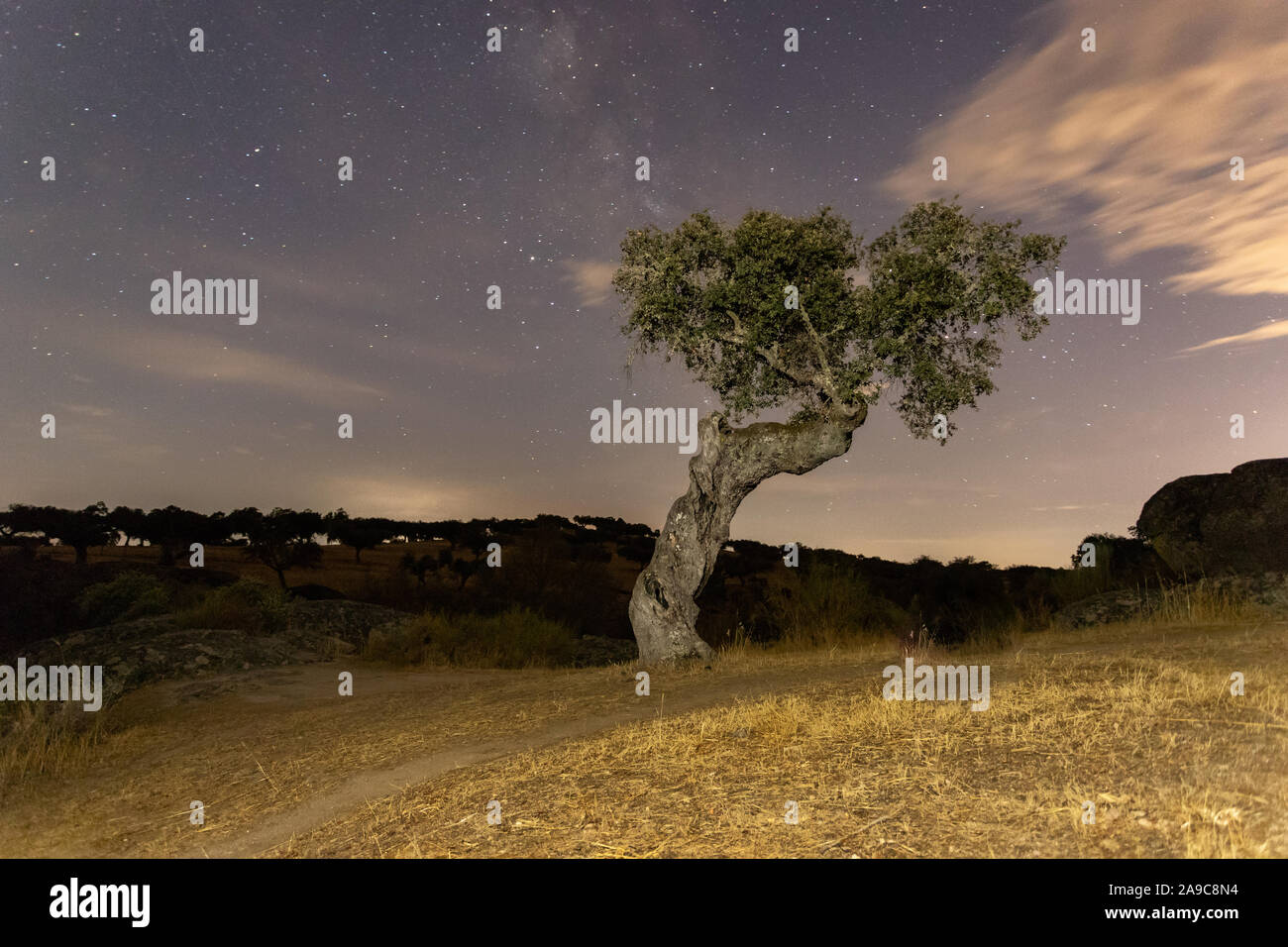 night landscape with holm oaks in the natural park of conrnalvo. Extremadura, Spain Stock Photo
