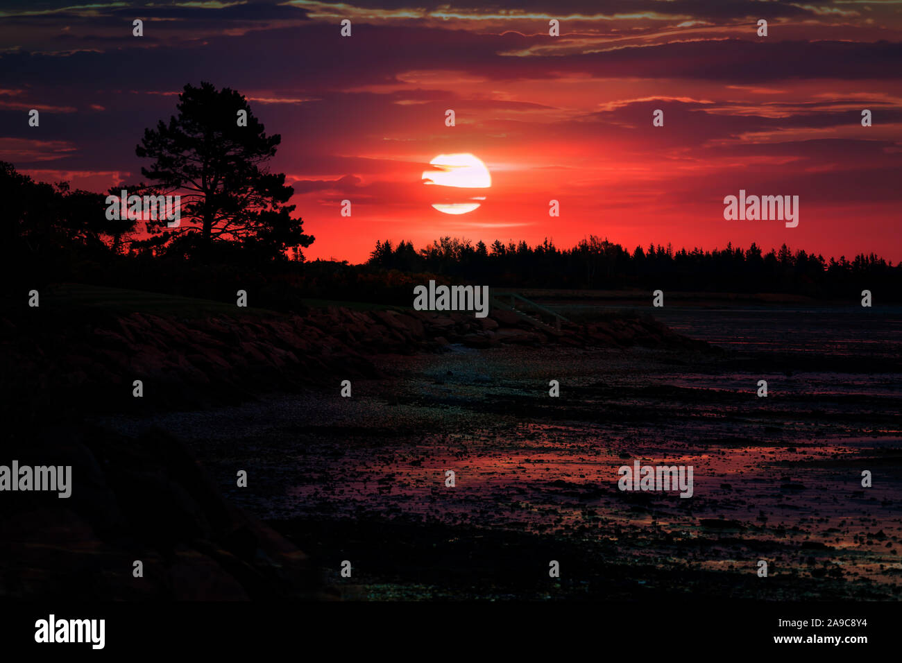 Sunset over the shore at low tide. Stock Photo