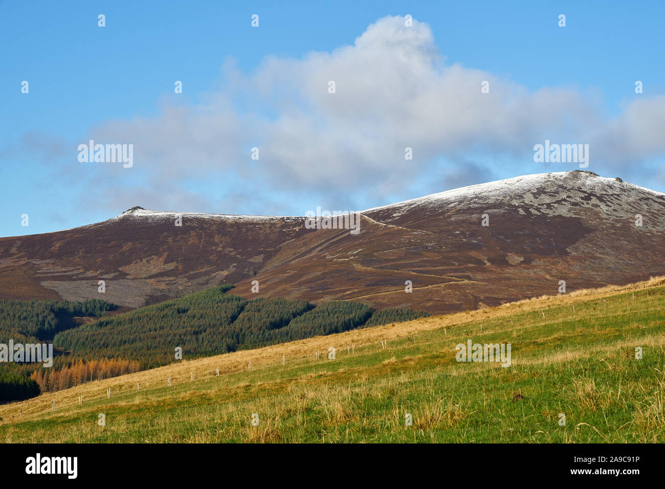 Glenrinnes hi-res stock photography and images - Alamy