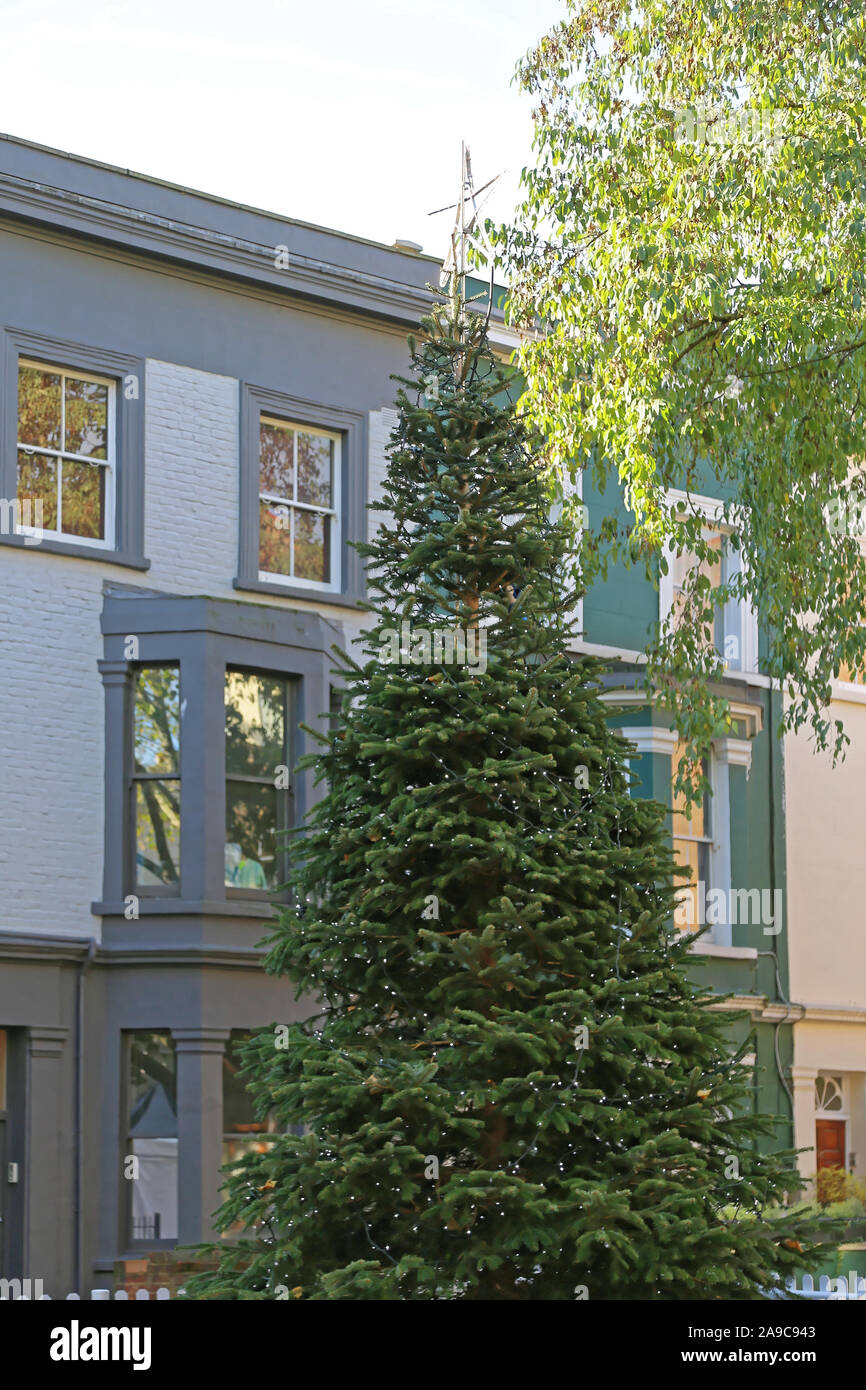 Big Christmas Tree in Front of House London Stock Photo