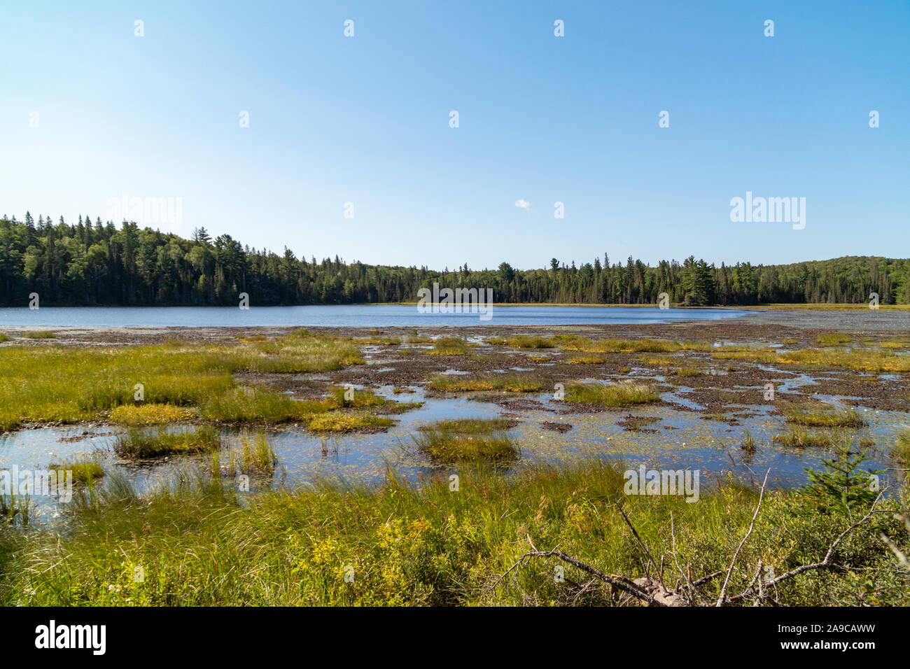 Mizzy lake trail outlet algonquin provincial park