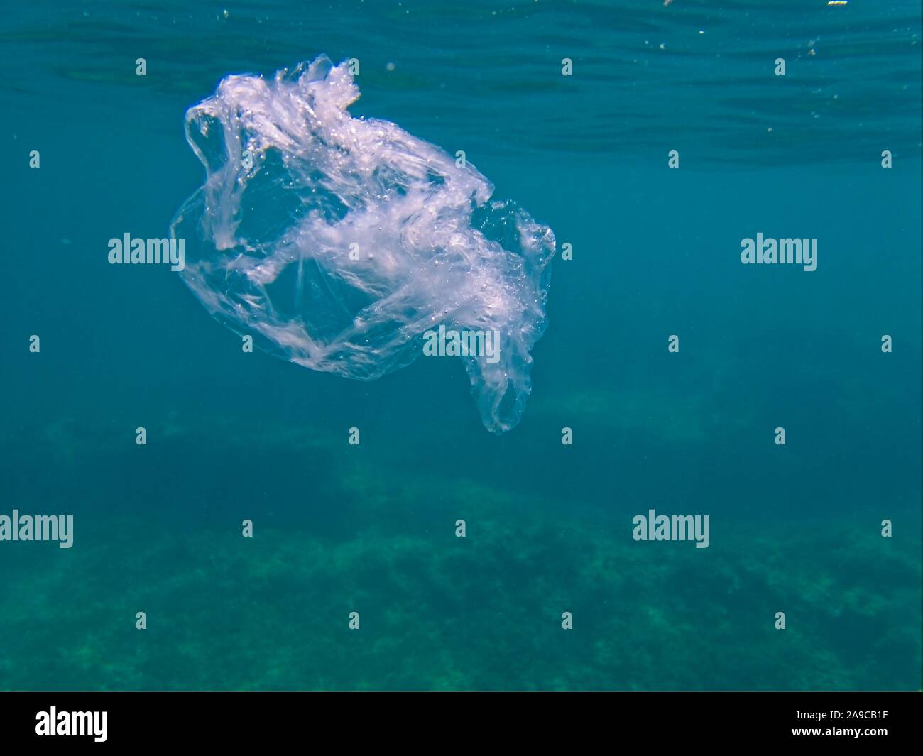 Clear plastic bag polluting our ocean underwater Stock Photo Alamy