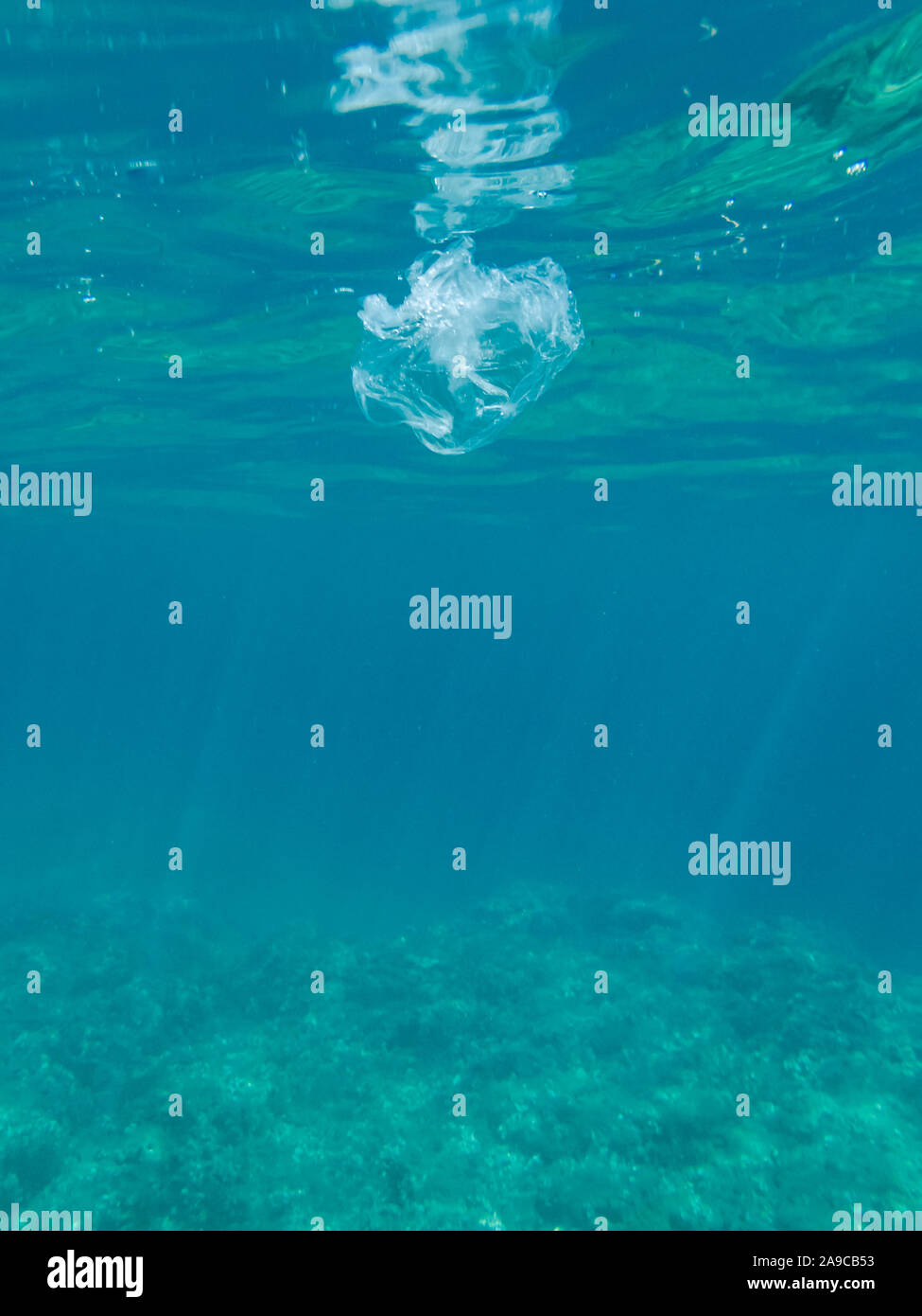 Clear plastic bag polluting our ocean Stock Photo