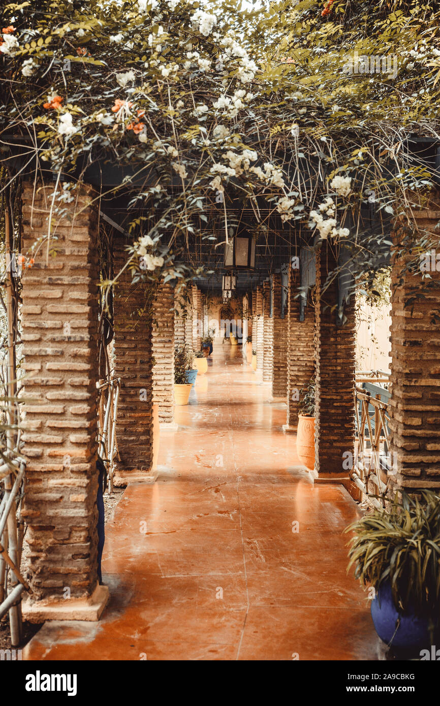 Detail of Majorelle Gardens in Marrakech Stock Photo