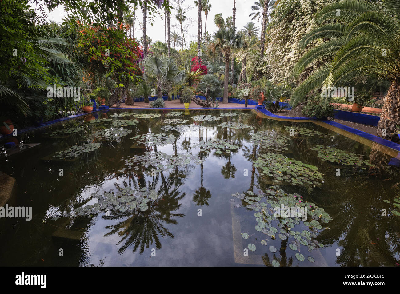 Detail of Majorelle Gardens in Marrakech Stock Photo