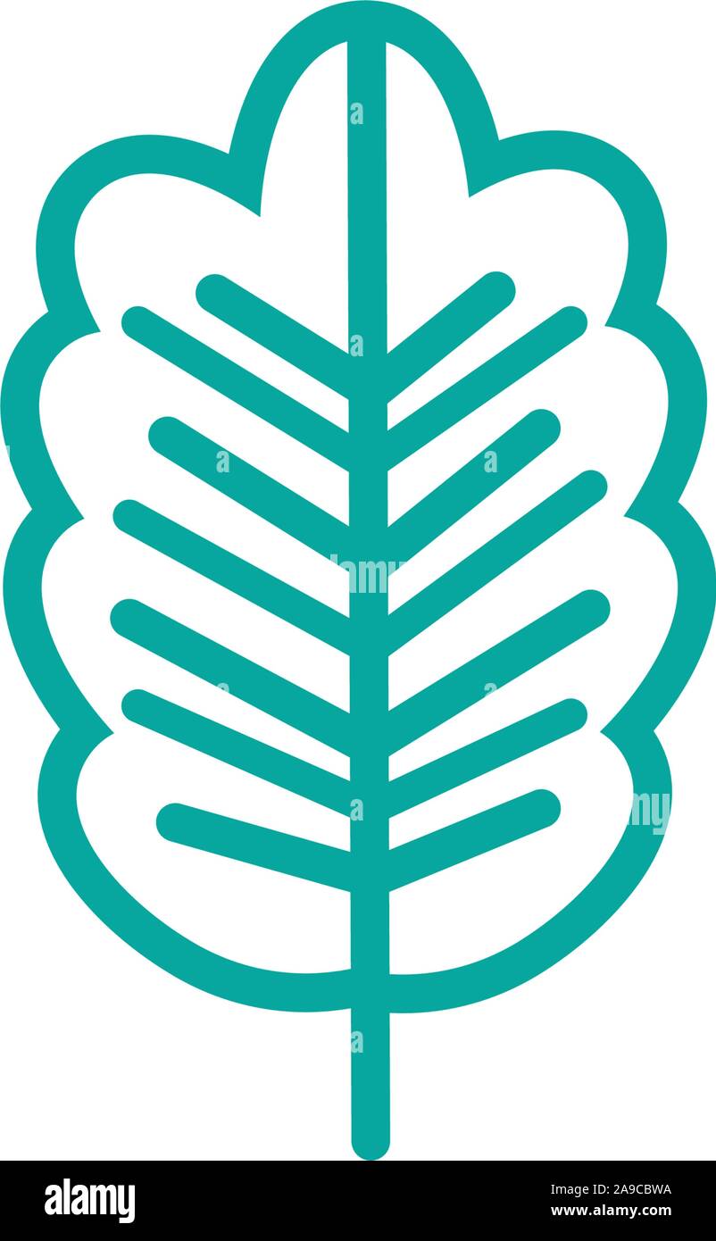 oak foliage nature leaf icon line green vector illustration Stock ...