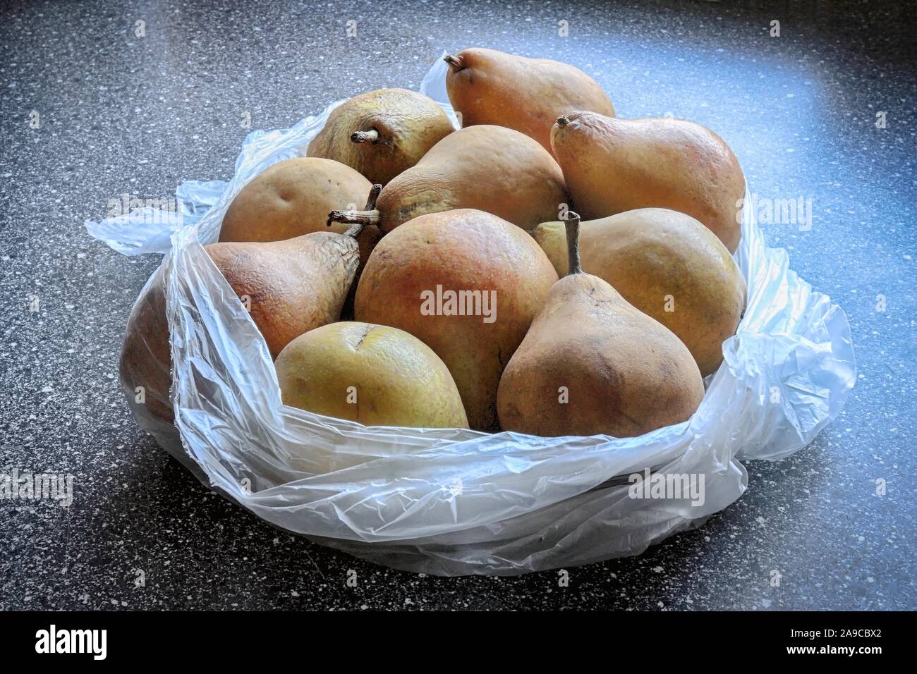 Wizened Doyenne du Comice pears wrapped in plastic in natural light on a granite background Stock Photo