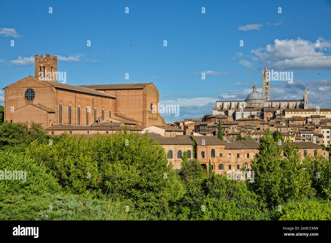 Old Town of Siena with Basilica