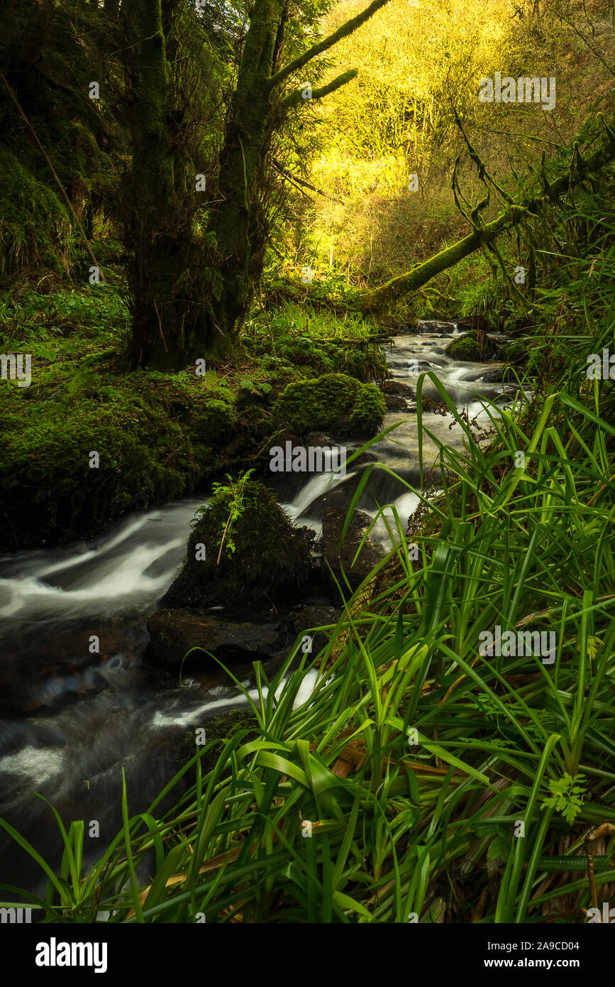 three large rocks covered in moss Stock Photo - Alamy