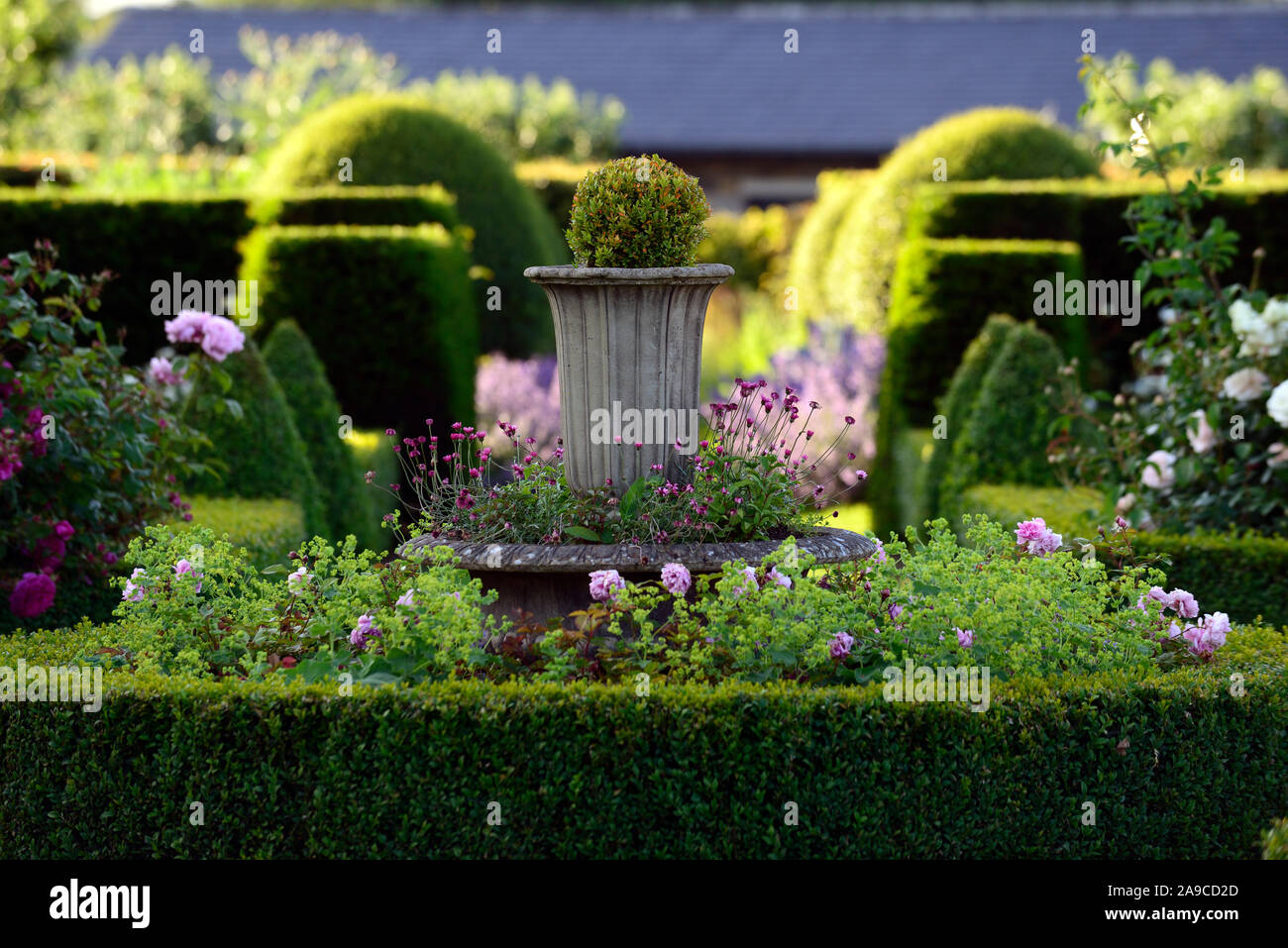 concrete urn,classical urn,garden feature,formal garden,box hedge,box hedging,topiary,hedging,tranquil area,quiet space,garden,gardens,RM Floral Stock Photo