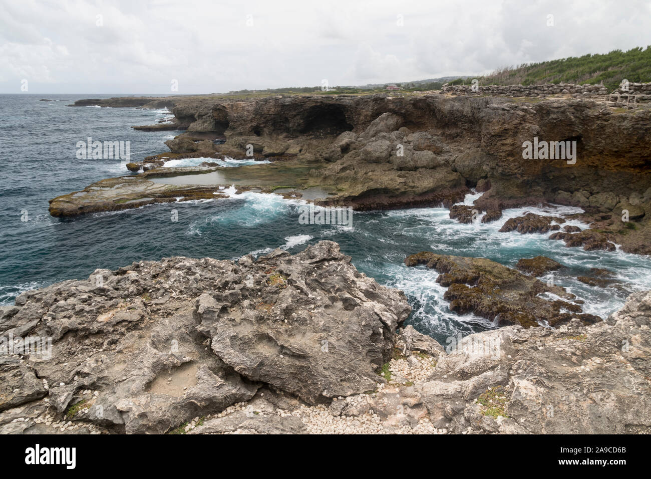 Rugged coastline at North Point on the Caribbean island of Barbados Stock Photo