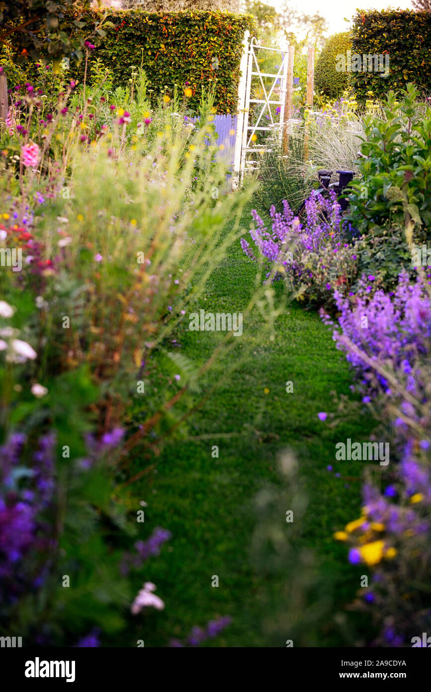 sunset shining through gate,cottage garden,path,pathway,mown,phlomis fruticosa,yarrow,blue,red,pink,yellow,flowers,nepeta,lupin,double herbaceous bord Stock Photo