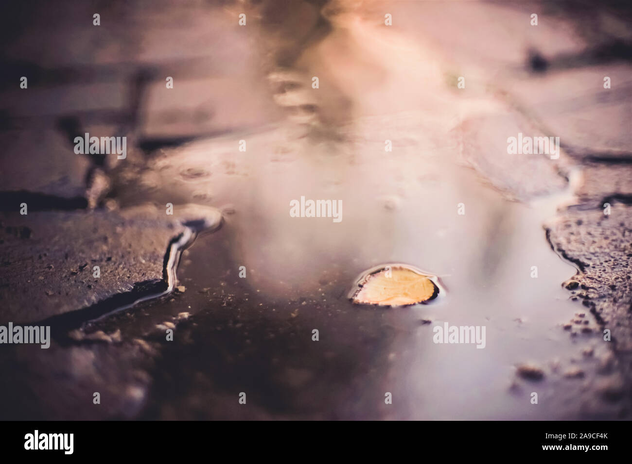 puddle with leaf on a stone road, reflection of light in water Stock Photo