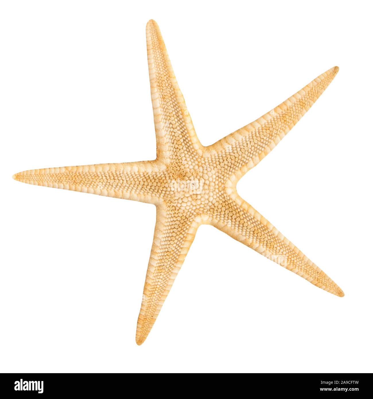 Work life balance wooden Cut Out Stock Images & Pictures - Alamy