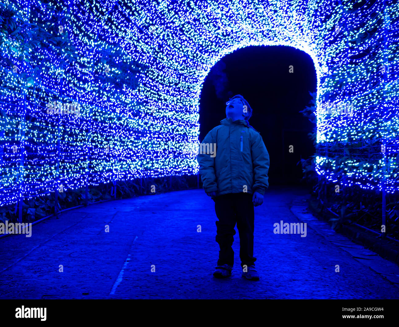 Edinburgh Zoo, Scotland, United Kingdom, 14 November 2019. Giant
