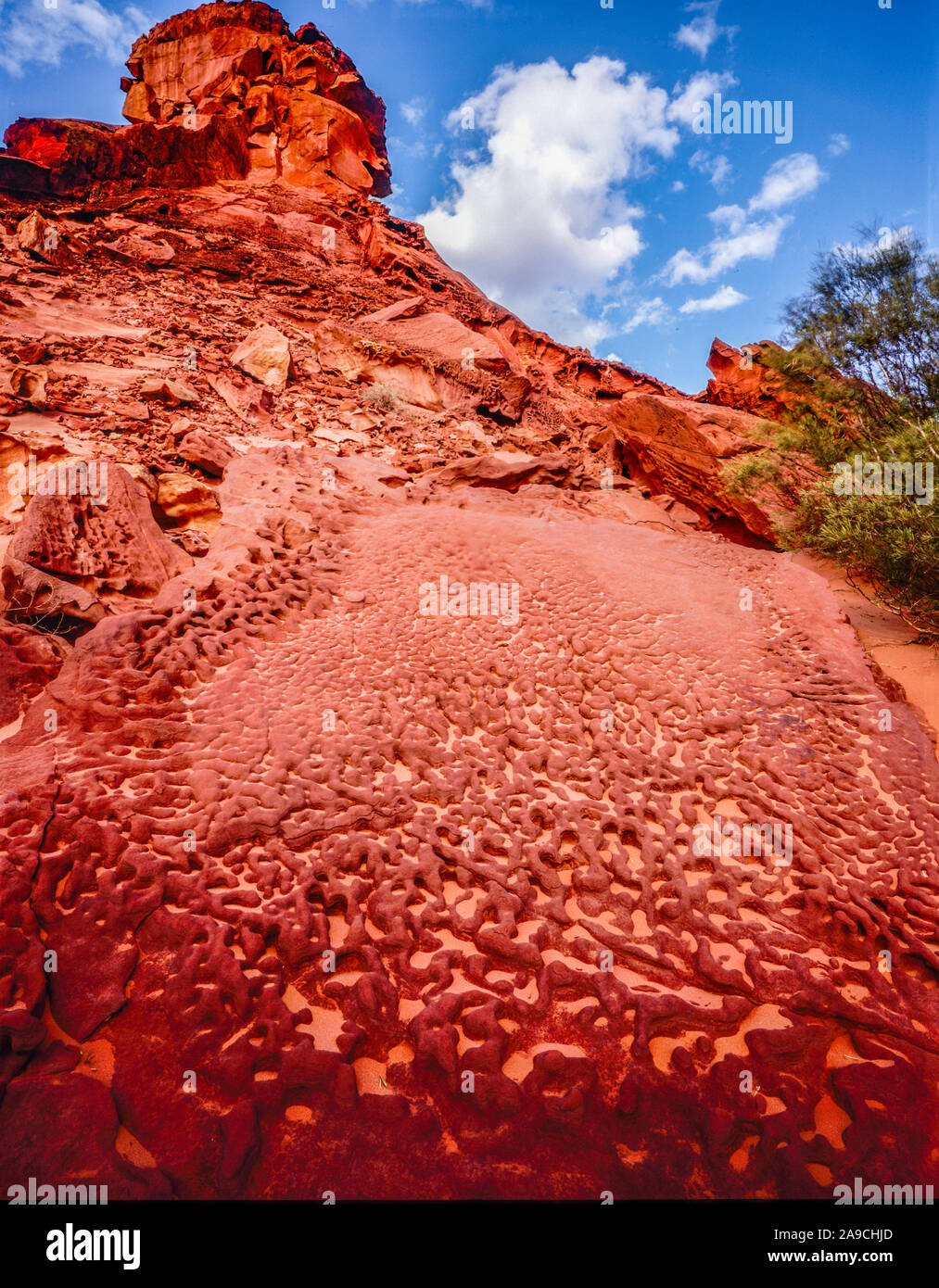 Honeycomb rock and tower, Rainbow Valley National Park, Northern Territory, Australia, Hermannsburg sandstone Stock Photo