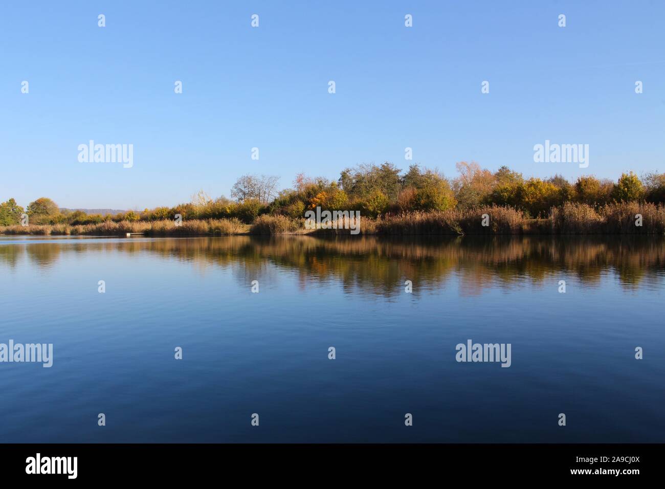 Lake shoreline reflecting symmetric in the water with blue sky Stock Photo