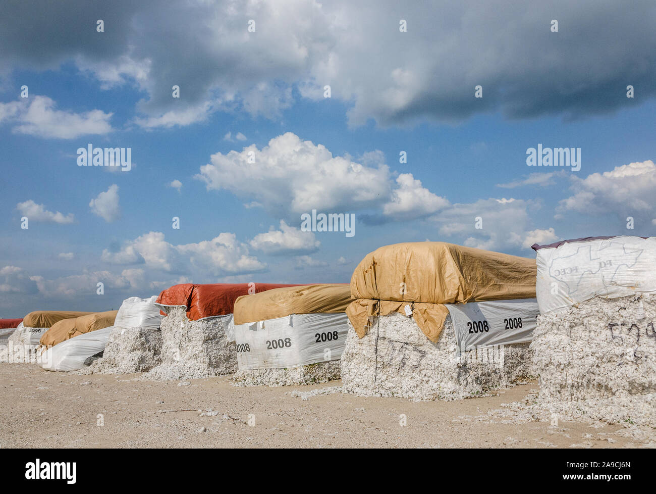 Rain-soaked modules of unginned cotton sit in the yard at the United Agricultural Cooperative after Hurricane Harvey in Danevang, Texas. Stock Photo