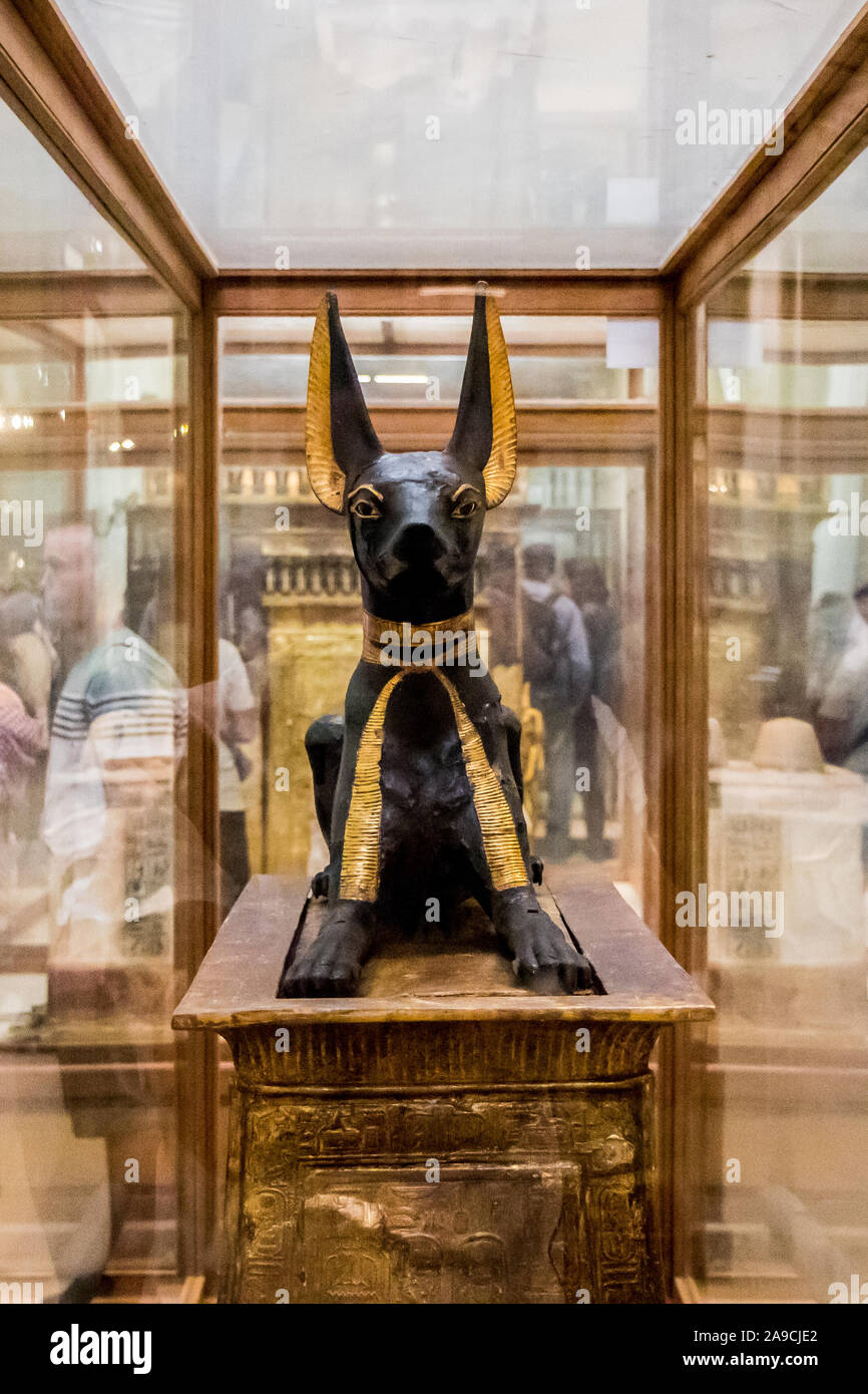 Cairo, Egypt - April 19, 2019: Anubis of Ancient Egypt God of Death. The Egyptian statue of God Anubis from Tutankhamun tomb in the Egyptian Museum, C Stock Photo