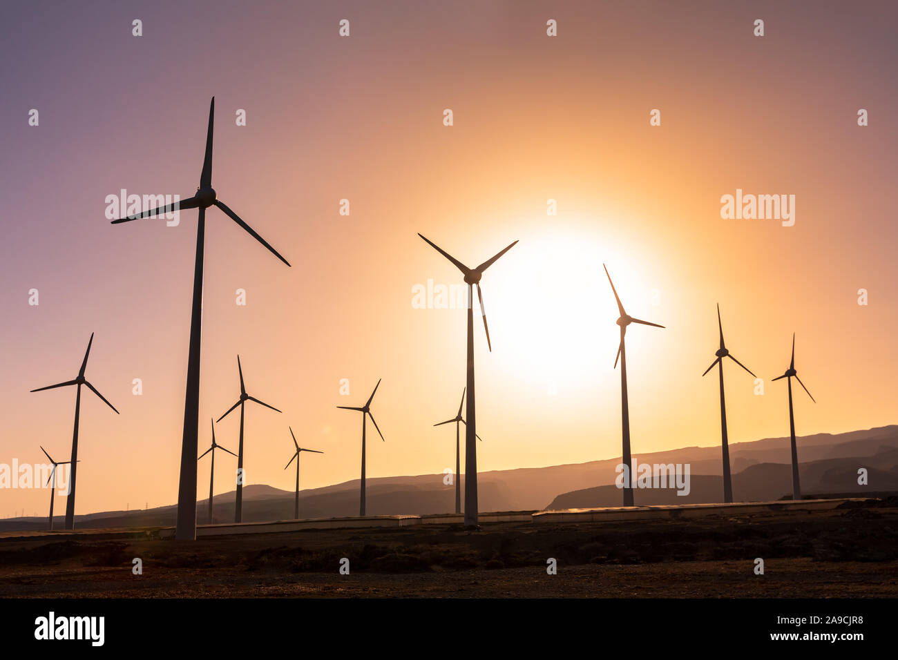 Wind turbine farm at sunset producing renewable energy, several windmill generating clean ecological electricity, sustainable development Stock Photo