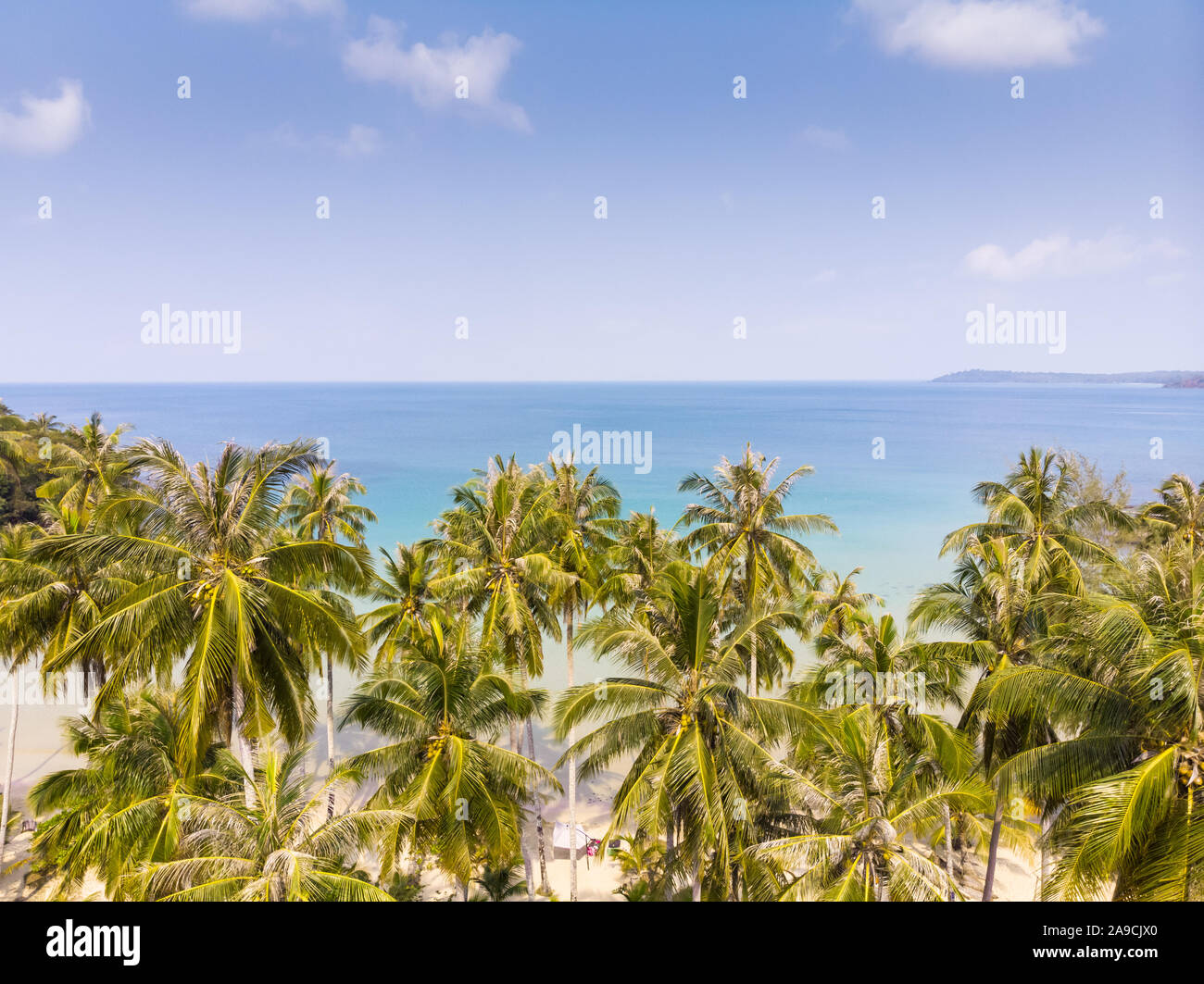 Tropical landscape with palm trees on the beach and blue sea, aerial view from drone of exotic bay, paradise summer vacation holidays destination, bea Stock Photo