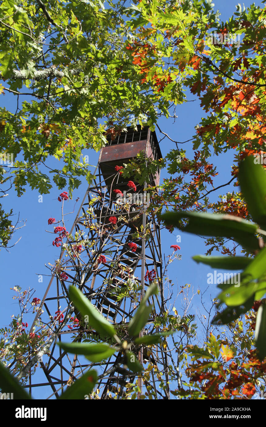 The old fire tower at the Channels Natural Area Preserve in VA, USA