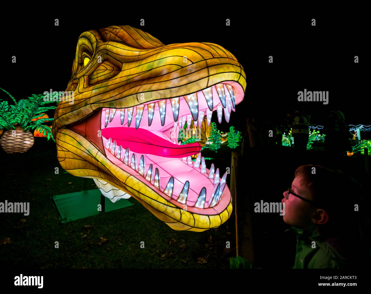 Edinburgh Zoo, Scotland, United Kingdom, 14 November 2019. Giant