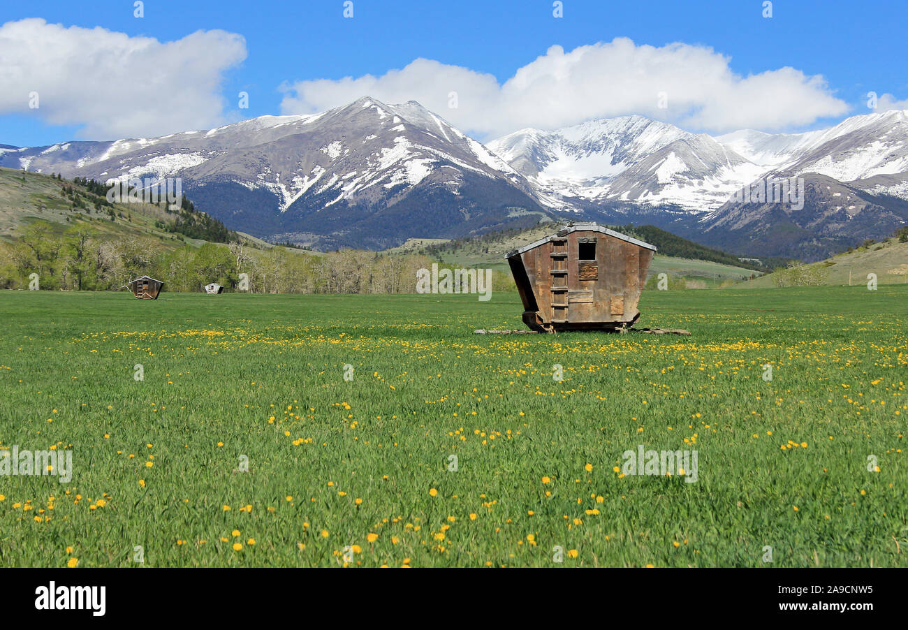 Meadow, barn and Crazy Mountains, Montana Stock Photo Alamy