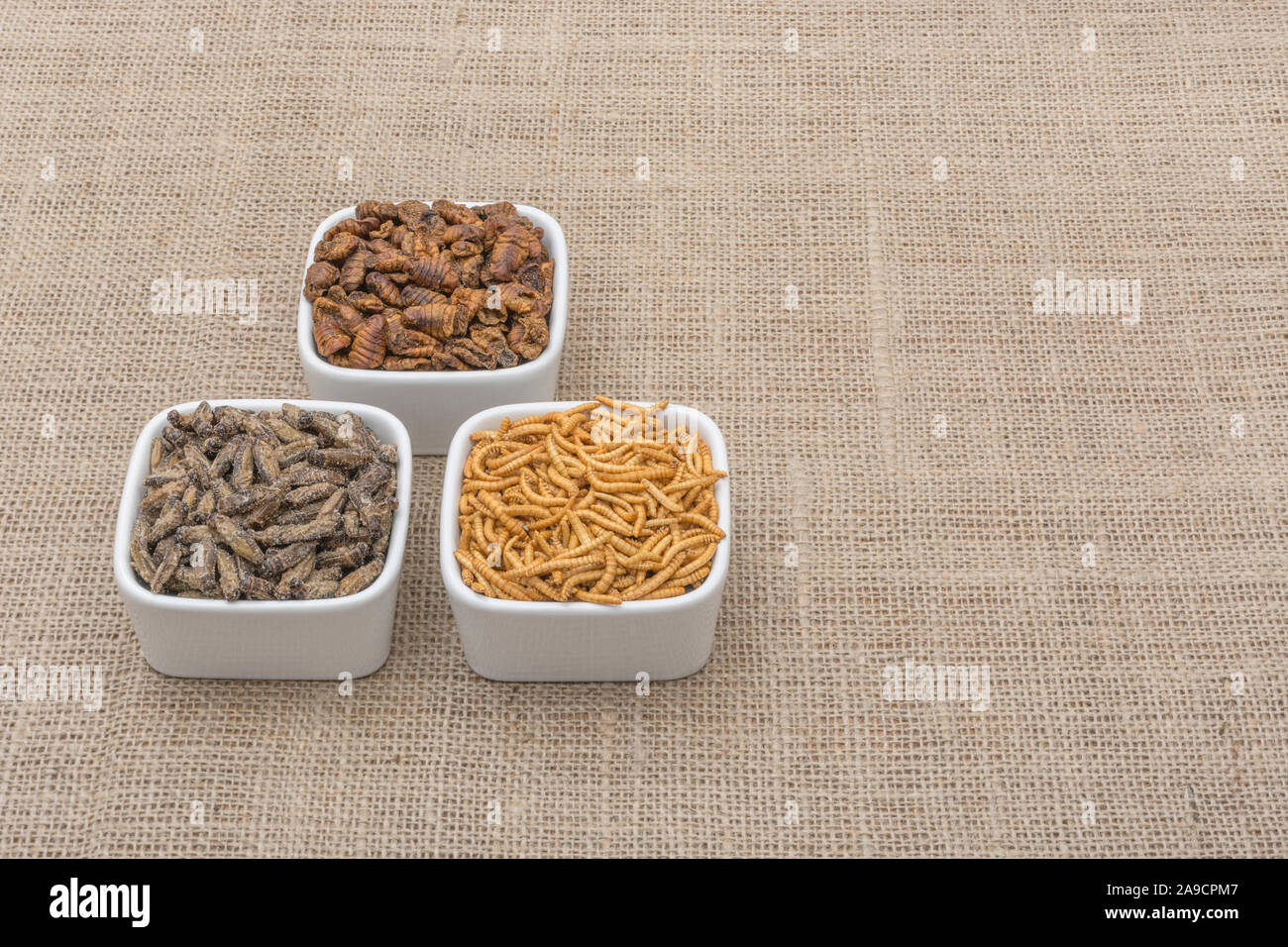 Kitchen ingredients insects hi-res stock photography and images - Alamy