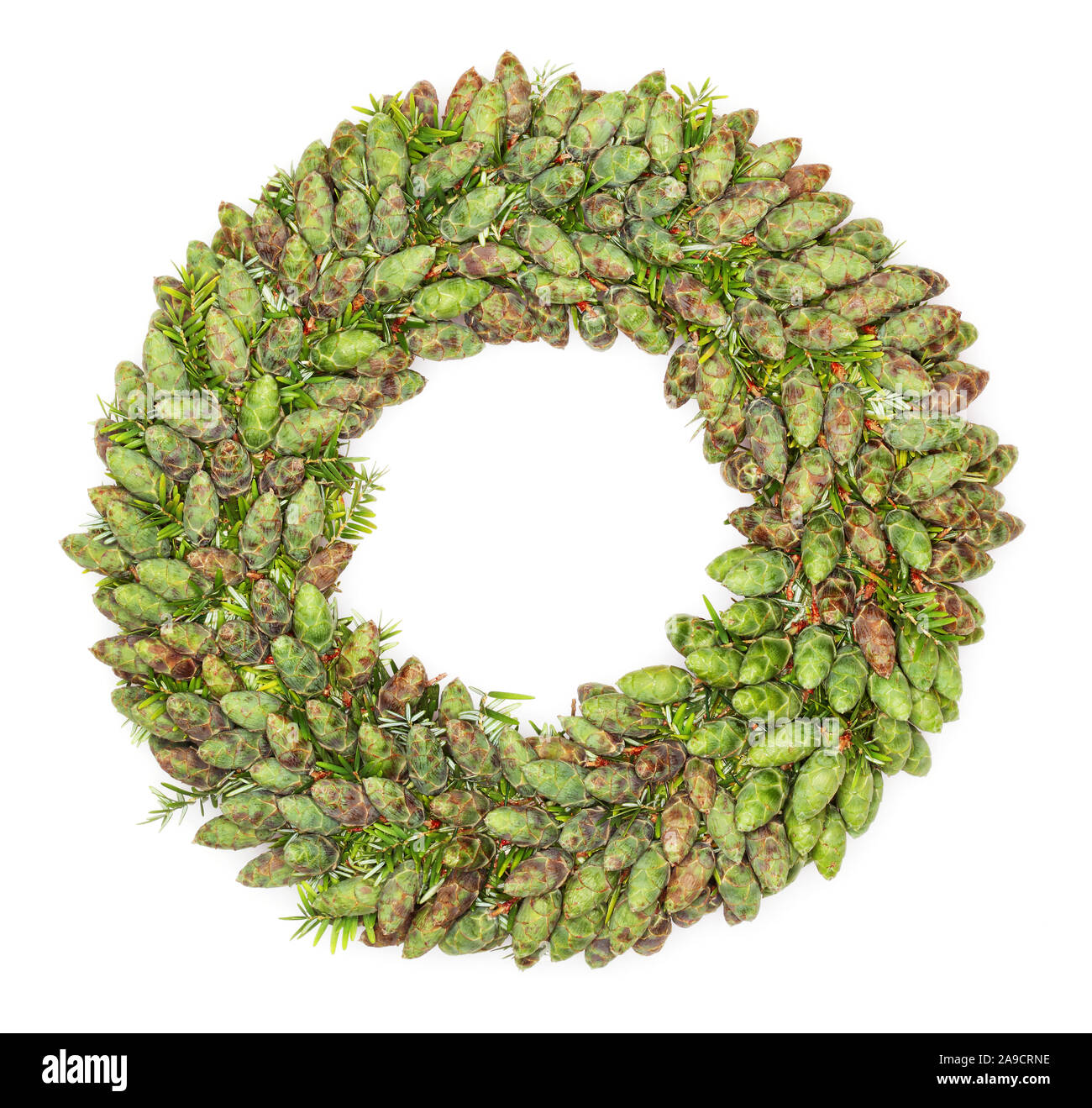 Wreath of hemlock pine cones Stock Photo - Alamy