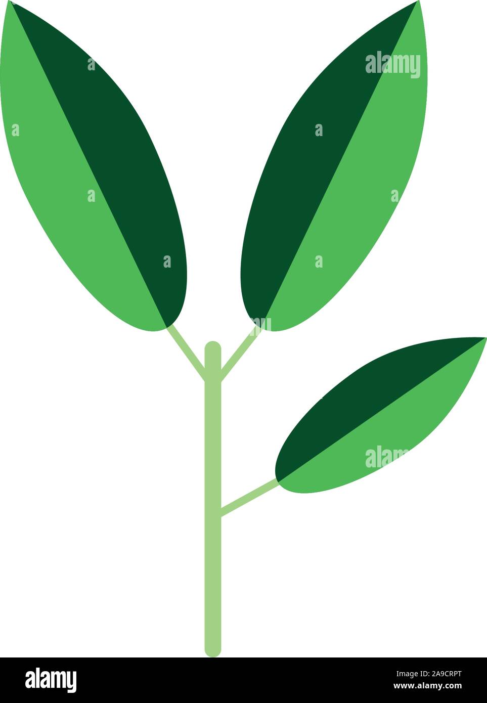 branch foliage nature leaf icon flat vector illustration Stock Vector ...