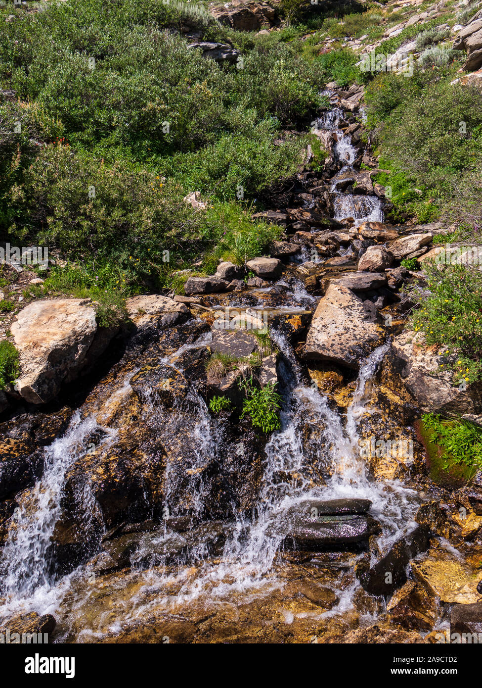 Waterfall, Island Lake Trail, Lamoile Canyon, Ruby Mountains near Elko, Nevada. Stock Photo