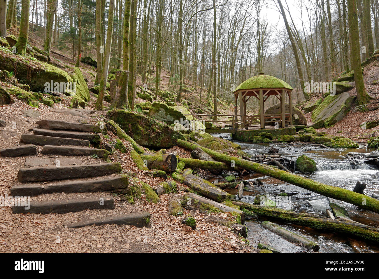 small river Moosalb in the nature reserve Karlstal near Trippstadt,  Palatinate Forest, Rhineland-Palatinate, Germany Stock Photo - Alamy