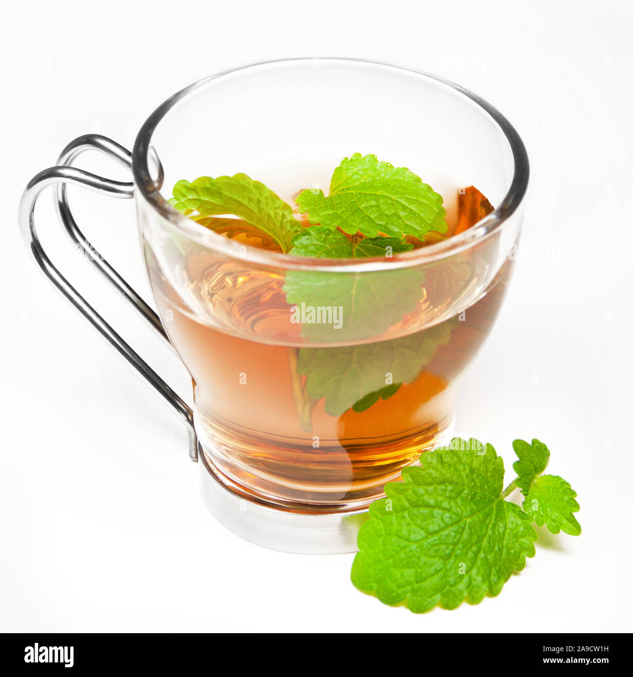 Healing Melissa Lemon Balm Tea Stock Photo