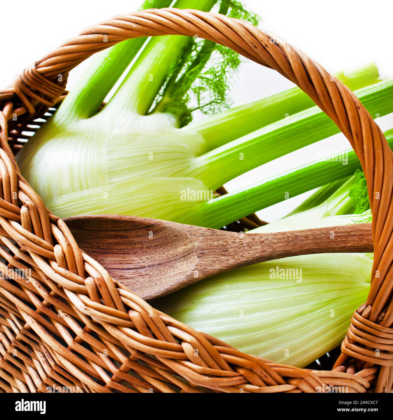 Group of fennel bulbs hires stock photography and images Alamy