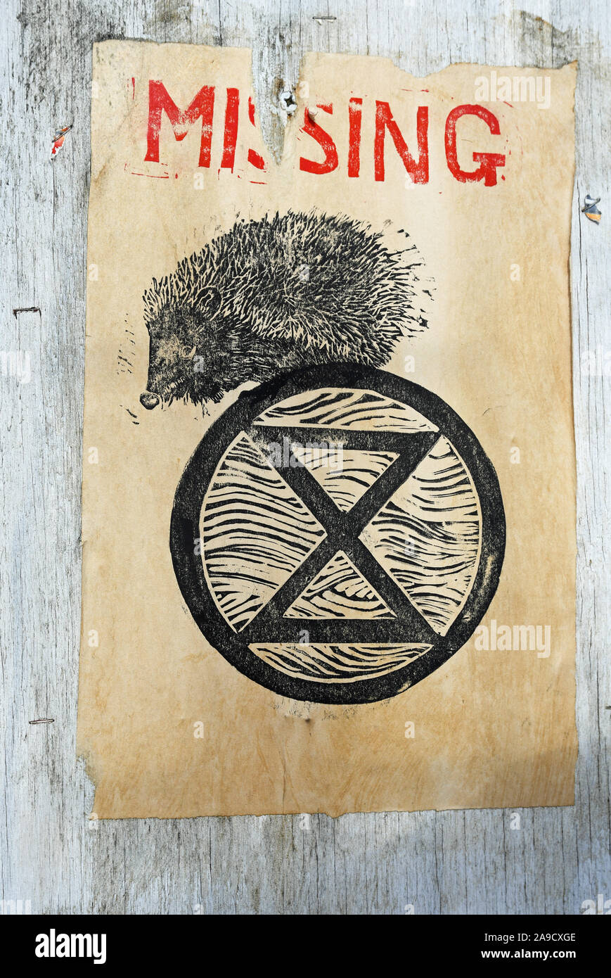 Extinction Rebellion poster, showing a hedgehog, at risk of extinction in the UK Stock Photo
