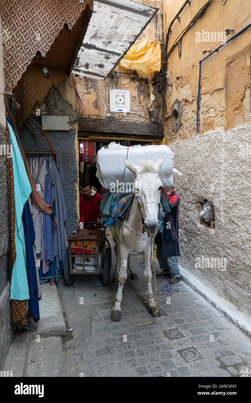 Fez, Morocco. November 9, 2019. the animals that transport the goods through the narrow streets of the medina Stock Photo